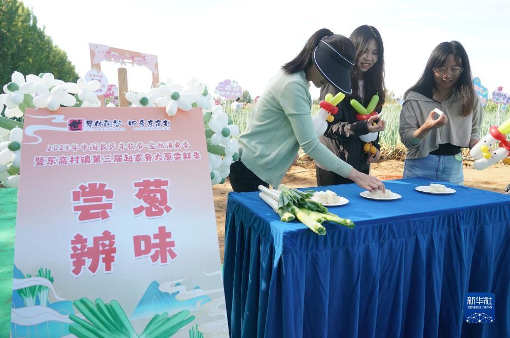 太阳城游戏官网u